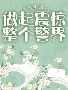 从实习做起震惊整个警界小说的无弹窗阅读体验，寻找免费阅读网站