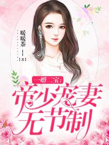 《一婚二宝：帝少宠妻无节制》小说章节在线试读，《一婚二宝：帝少宠妻无节制》最新章节目录