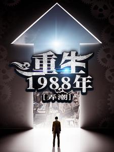 刘天齐张雨欣小说《重生1988年》在线阅读