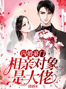 小说《闪婚豪门：相亲对象是大佬》在线章节阅读