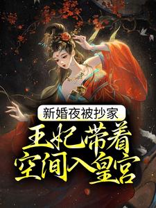 新婚夜被抄家，王妃带着空间入皇宫主角苏云宛秦君屹小说完结版章节在线阅读