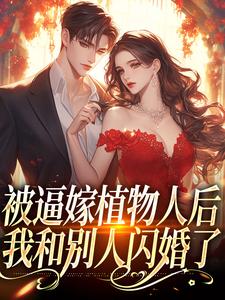 完结版《被逼嫁植物人后，我和别人闪婚了》章节目录在线阅读