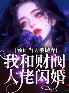 領證當天被拋棄，我和財閥大佬閃婚小說有沒有完結版在線？